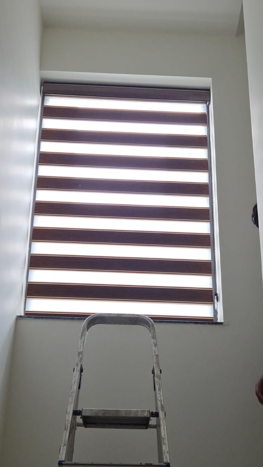 Brown zebra blinds